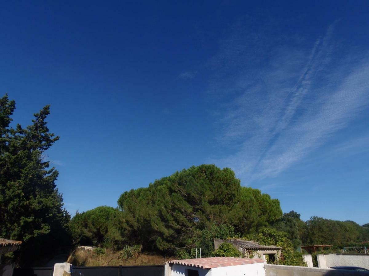 Apartamento Joli Mazet Entre Montpellier Et Nimes Aimargues Exterior foto